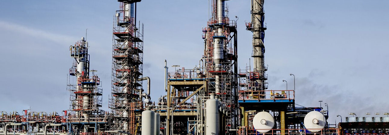 Chemical Processing Sector