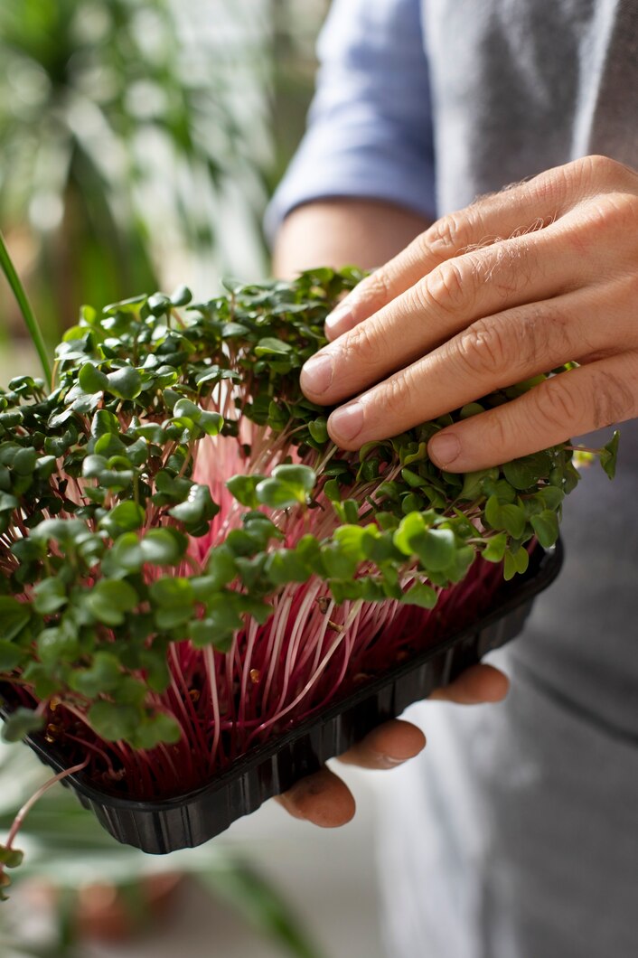 Microgreen Consultancy
